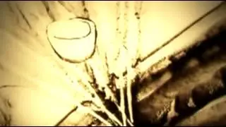 film Ari 2012 WEB DLRip Rus Mp4