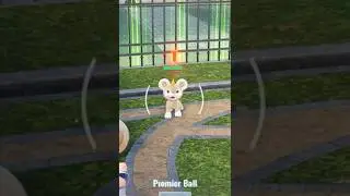 Shiny Hunt While AFK on Pok&eacute;mon Legends ZA