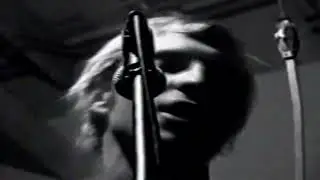 Zippy Josh & The Rag Tag Band - Wasted Days