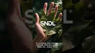 🤔 Cannabis, Liquor, and Banking? The Wild Strategy of SNDL ($SNDL)