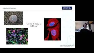 Using Light to Understand and Control Biology
