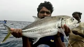 Catching Horse eye Jack, Blacktip Trevally & Tomato Grouper in the Sea