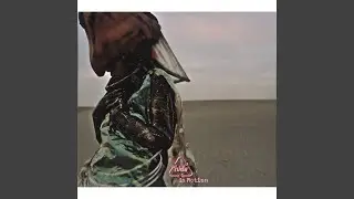 In Motion