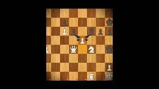 Mikhail Tal  vs Robert James Fischer | The Fire and Ice Study