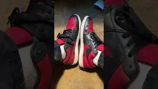 Elephants print breds low top #breds1 #lowtops #jordan #nike