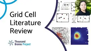 Grid Cell Literature Review