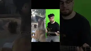 Dog Got Rhythm #bass #bassist #dog #dogs #music
