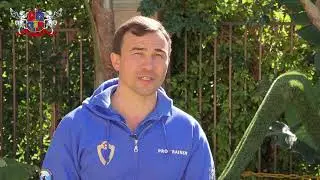 Master Dog Training