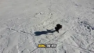 The Yeti &ndash; The Snow Monster of the Himalayas | Real Evidence, Legends & Unsolved Mystery