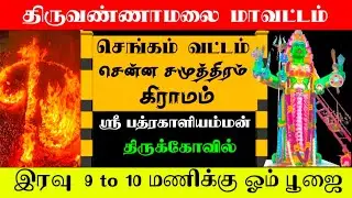 காளியம்மன் ஓம் பூஜை செங்கம் சென்னசமுத்திரம் #rajendiranswamy  🌹🙏🌹🕉️