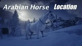 Best Horse in the Game Location Guide/ Arabian Elite/Red Dead Redemption 2