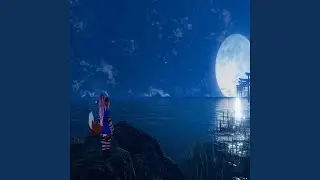 Dawn on the Silver Sea
