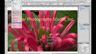 In Just Minutes: Lightroom Mobile to Adobe Comp to InDesign to Online Publishing
