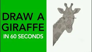 How to Draw a Realistic Giraffe (Easy, Beginner-Friendly)