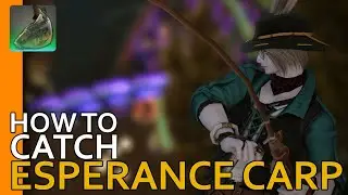 How to catch Esperance Carp in FFXIV