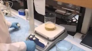 CDM-HD, Chemically Defined Medium for High Density Cell Culture
