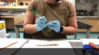 Opening Cavity-Nest Tubes