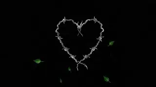 4. CUERO - ASTAIL X SILAVO