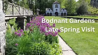 Bodnant Garden Spring Visit | Beautiful Gardens to Visit in Wales | National Trust | Laburnum Arch