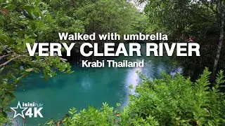 VERY CLEAR RIVER - Walked with umbrella Krabi Thailand [4K]