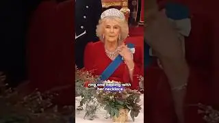 Princess Anne and Queen Camila&rsquo;s gestures spoke volumes.#shorts #shortvideo #celebrity #shortspay+