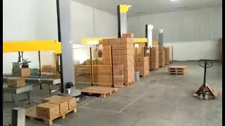 Automatic single column palletizer for bag/carton/case/box