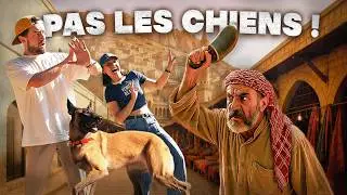 Comment Voyager &agrave; 20km de la Syrie avec un Chien ?