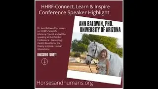 Health Benefits for the Elderly in Horse-Human Interactions