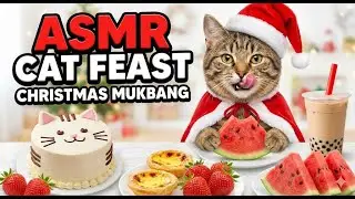 ASMR Cat Eating Christmas Cake, Watermelon & Bubble Tea 🎄 (No Talking)