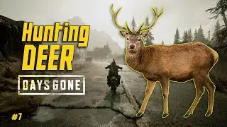 Hunting DEER in Days Gone !!
