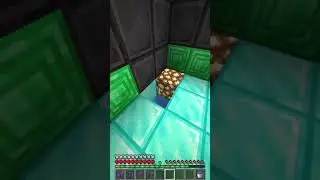 THE RICHEST MINECRAFT PLAYER