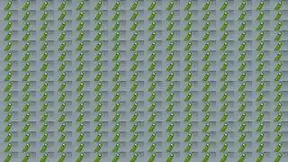 I'M PICKLE RICK!  over 1 000 000 000 times
