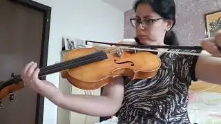 hino 364. Viola Guarneri.