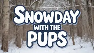 Slow Down - A Snowy POV Walk with the Pups