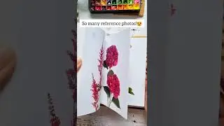 Flower Color Guide Book Mini Review