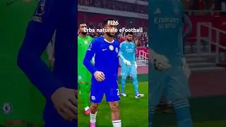 Hd Pitch & Turf Mod FL26 - #realisticgameplay #ultrahighgraphics #footballlife2026 #football