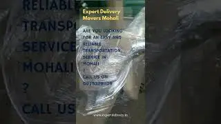Get Easy Moving and Transportation Service with Expert Movers in Mohali