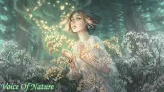 Voice of Nature | 🍃 Celtic Music