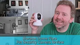 Обзор камеры видеонаблюдения Blurams Dome Flare для домашних животных