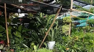 Ang Ganda dito,Ikutin natin