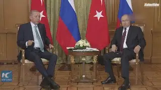 Erdogan, Putin discuss Black Sea grain deal