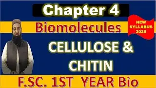 F.Sc. 1st Year Biology | Cellulose and Chitin: Structure & Functions | Class 11 New Syllabus 2025