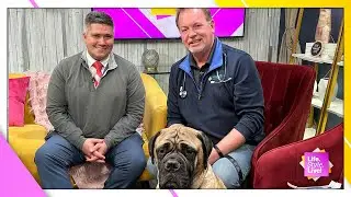 Noah's Animal Hospitals veterinarian explains new Marion County pet ordinances