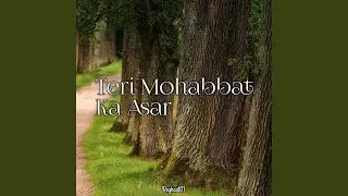 Teri Mohabbat Ka Asar