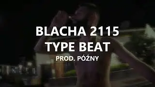 BLACHA 2115 X SENTINO TYPE BEAT | SUMMER AFROTRAP (Prod. P&oacute;źny)
