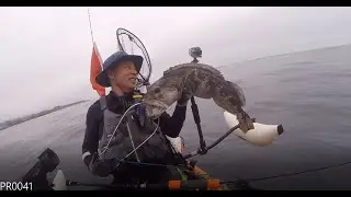 Catching Monster Lingcod-카약부부어부 Kayak Fishing Couple Hobie Oasis  - 2021-09-03 Mendocino Coast