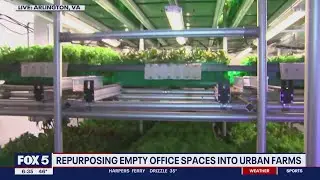 Turning empty office spaces in Arlington into urban farms | FOX 5 DC