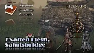 Exalted Flesh, Saintsbridge | Elden Ring