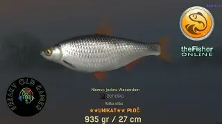 The Fisher Online Niemcy Jezioro Wasserdam Płoć