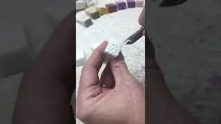 Plucking Your Own Reborn  Mottling Sponges.